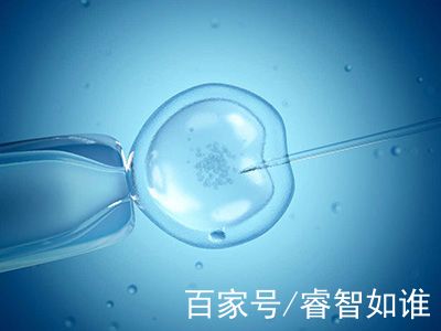 卵巢评估